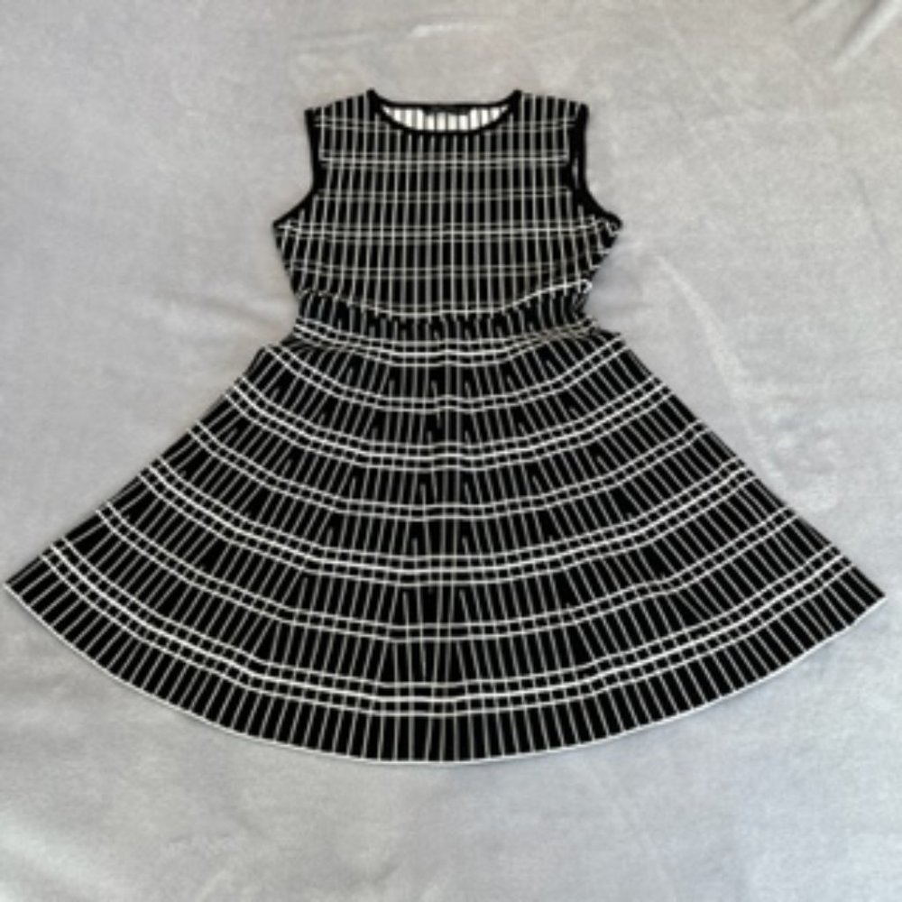 Zara Women's Dress Large